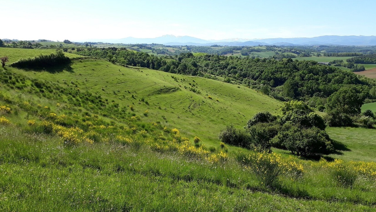 Photo of Outdoor in Esplas