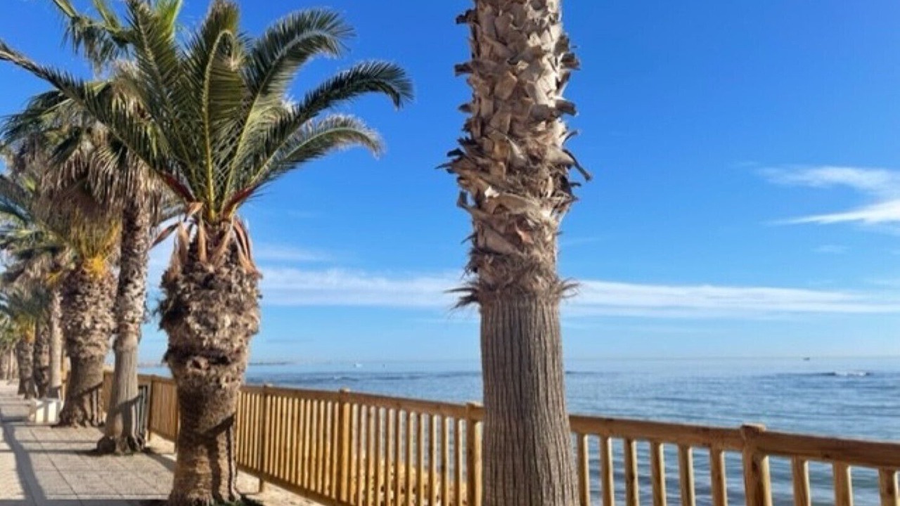 Photo of Outdoor in Pilar de la Horadada