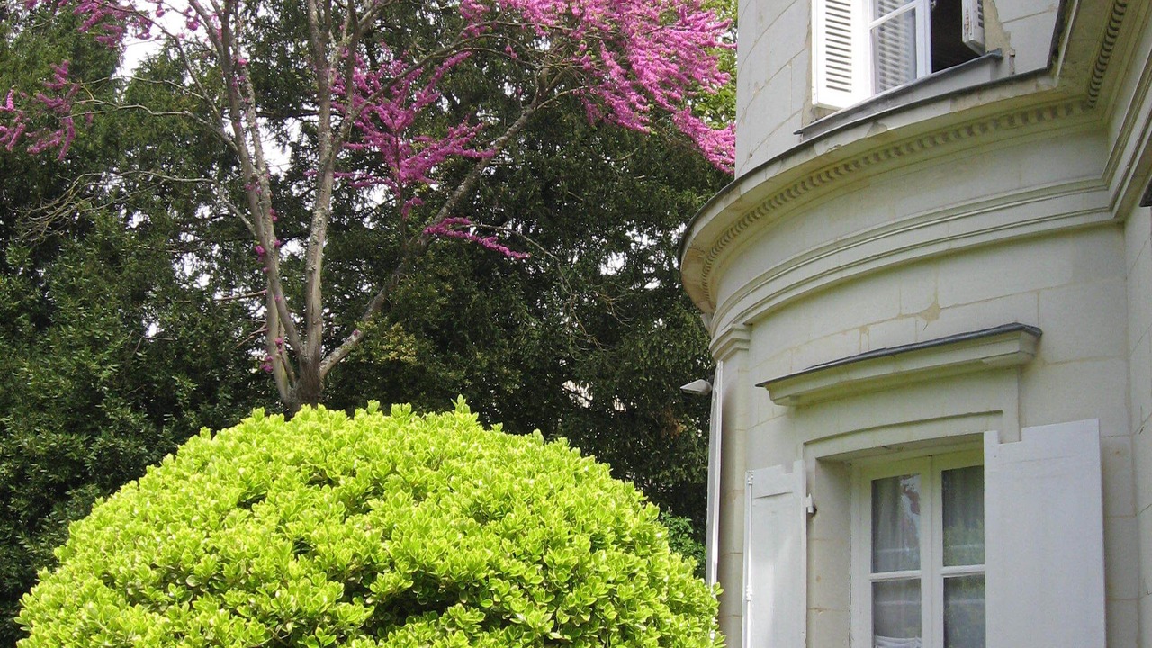 Photo of Outdoor in Blere