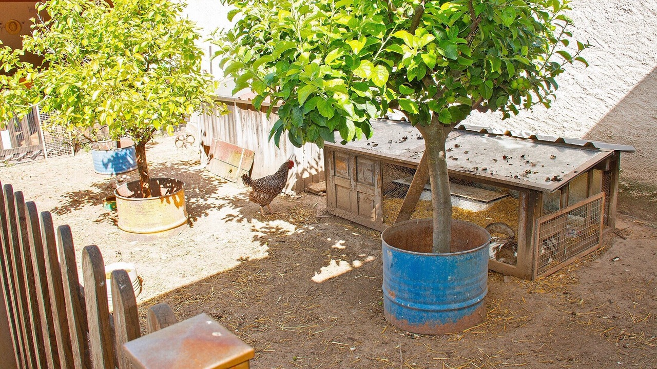 Photo of Outdoor in Turegano