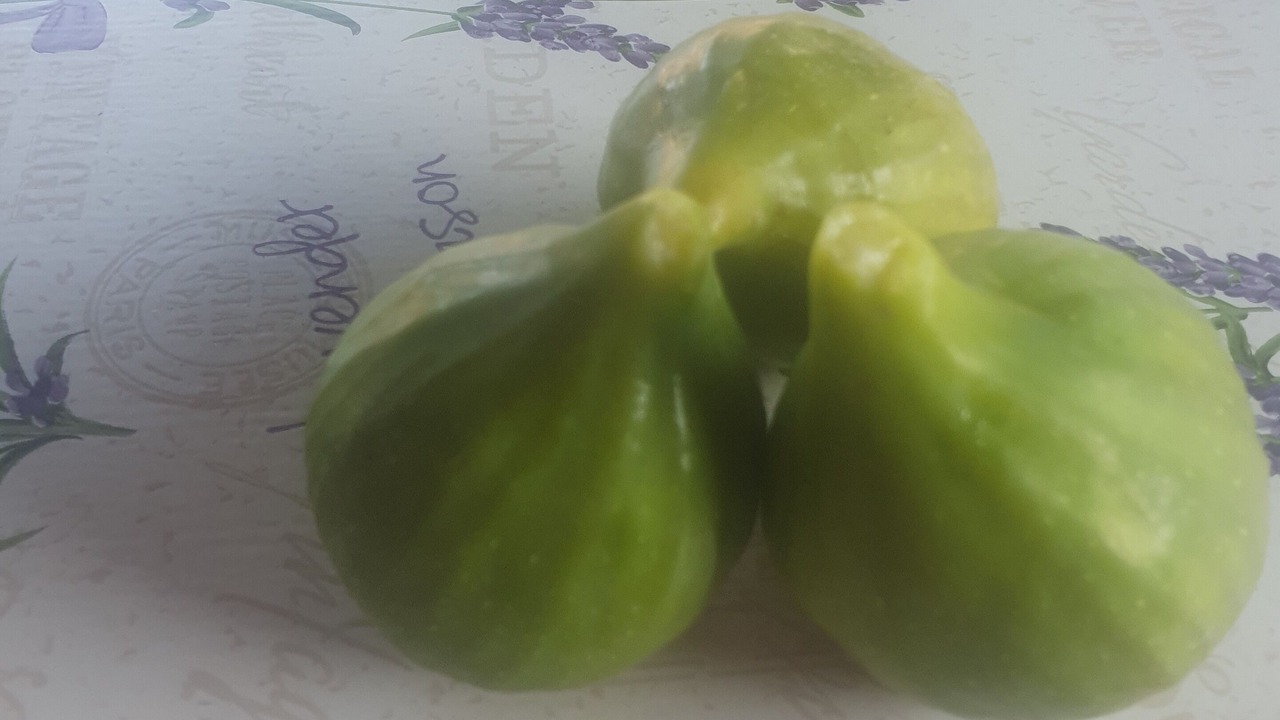 Photo of Others in Pierrelatte