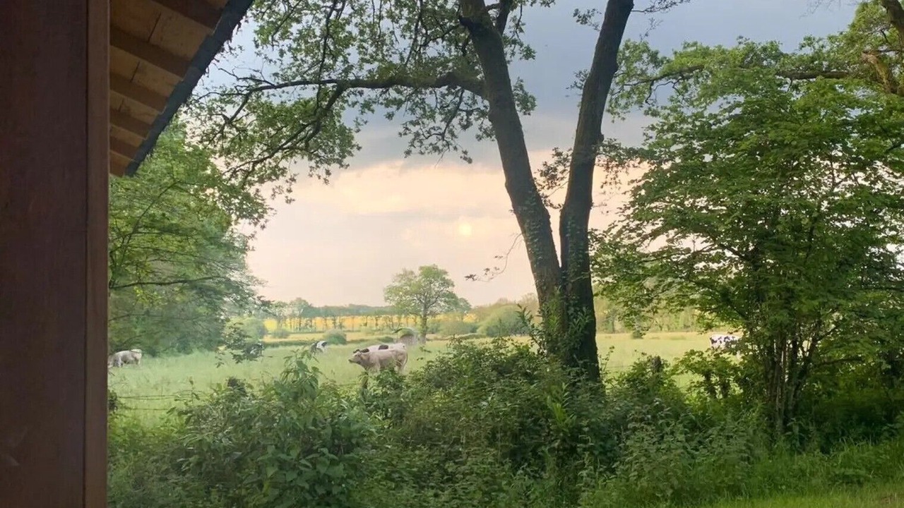 Photo of Others in Nivillac