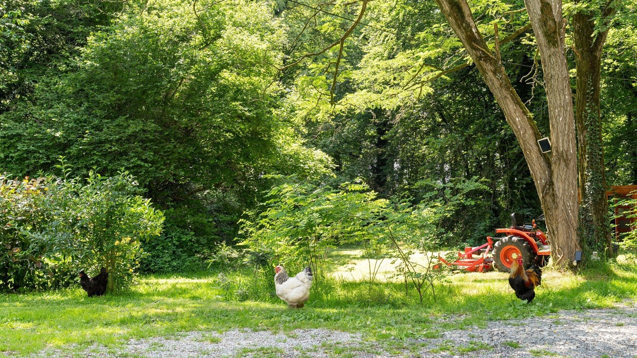 Photo of Outdoor in Nivillac