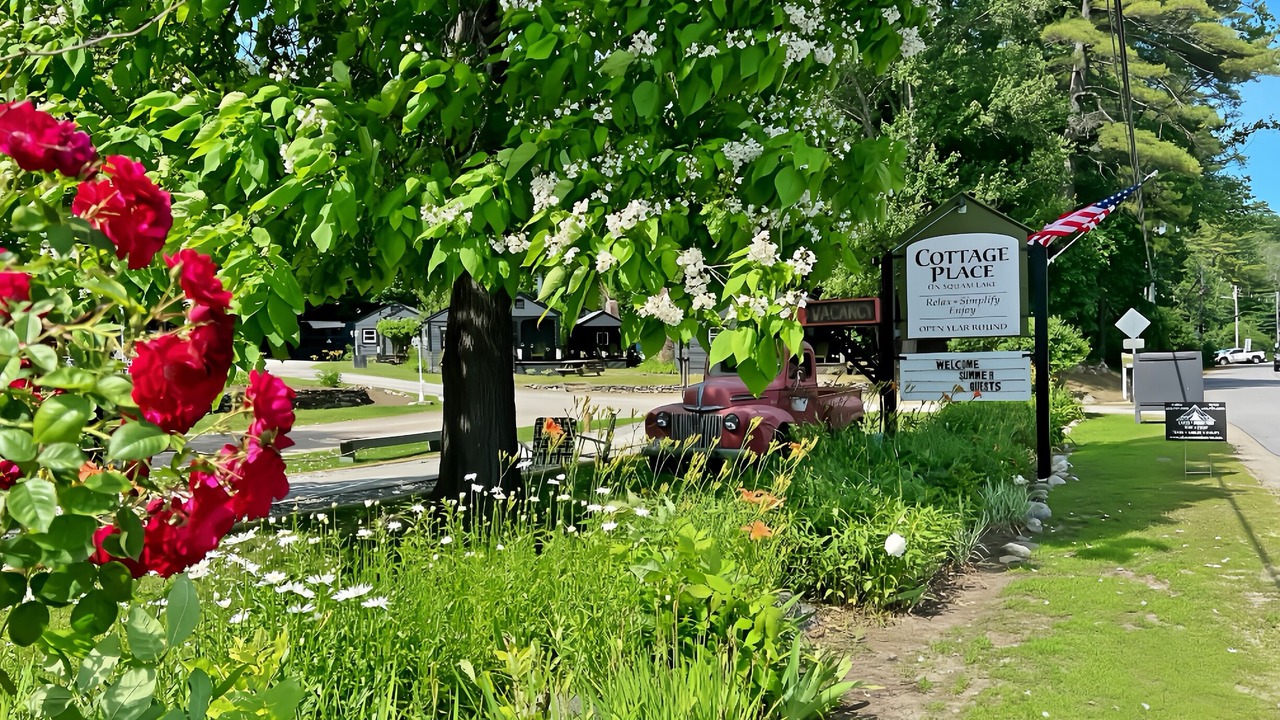 Photo of Outdoor in Holderness