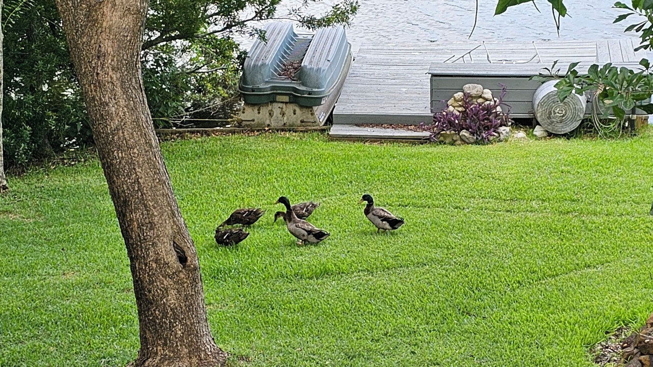 Photo of Outdoor in Hilltop Lakes