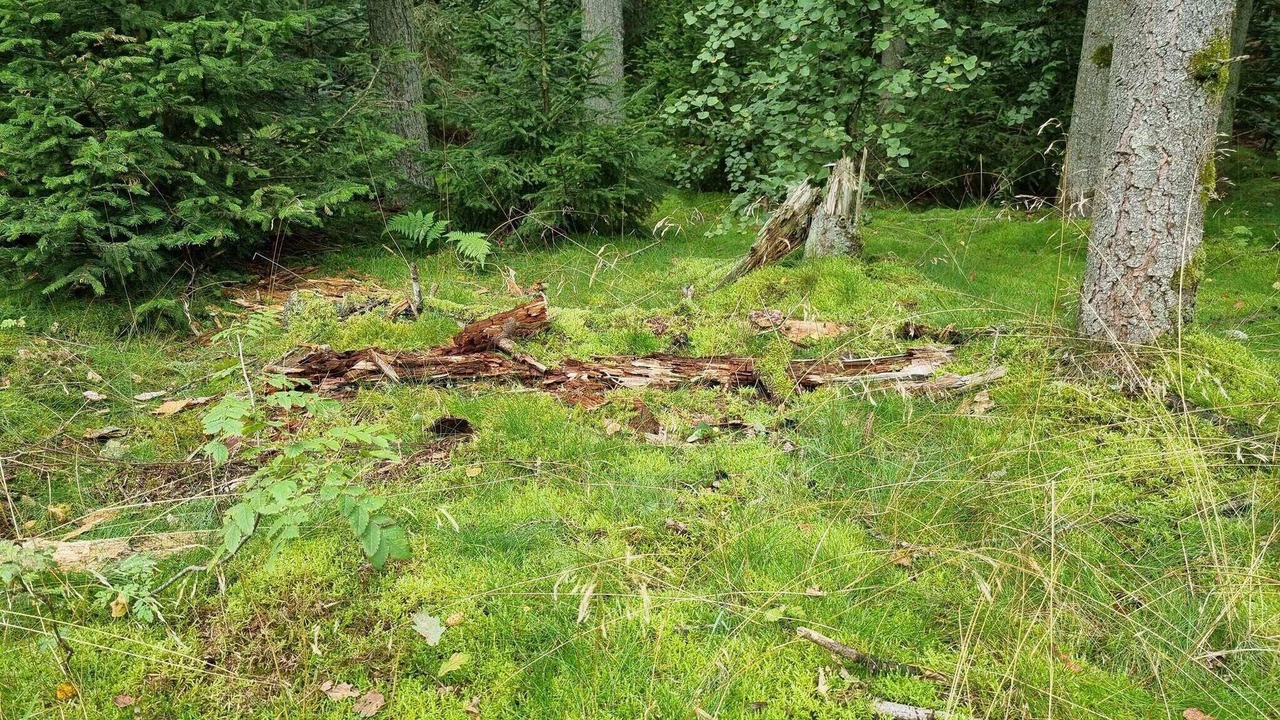 Photo of Outdoor in Bryrup