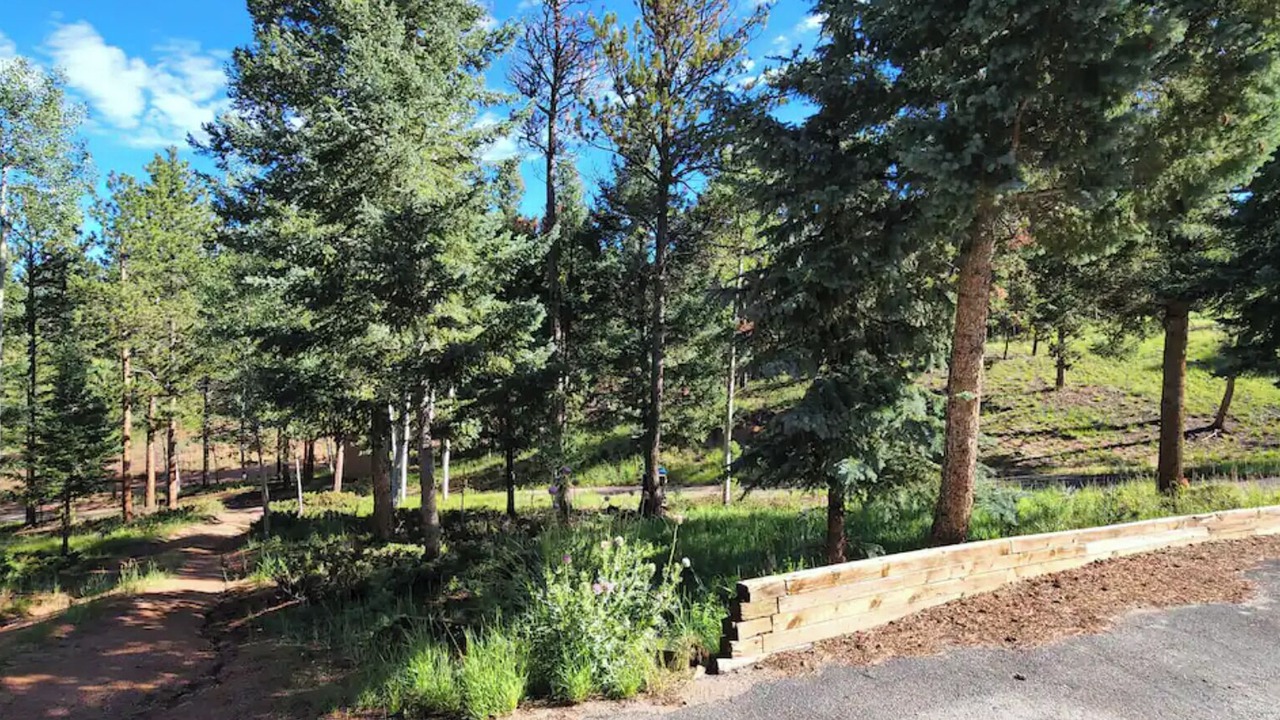 Photo of Others in Woodland Park
