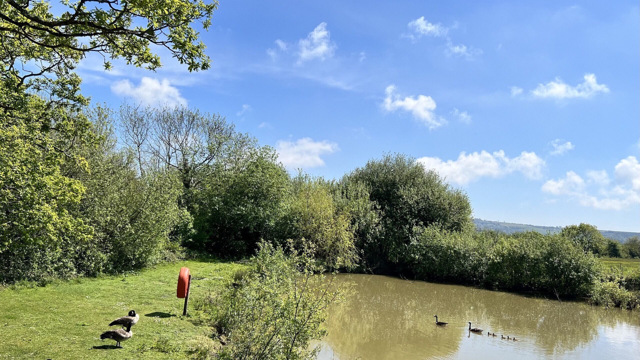 Photo of Others in Ryde