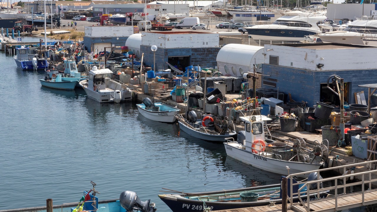 Photo of Others in Leucate