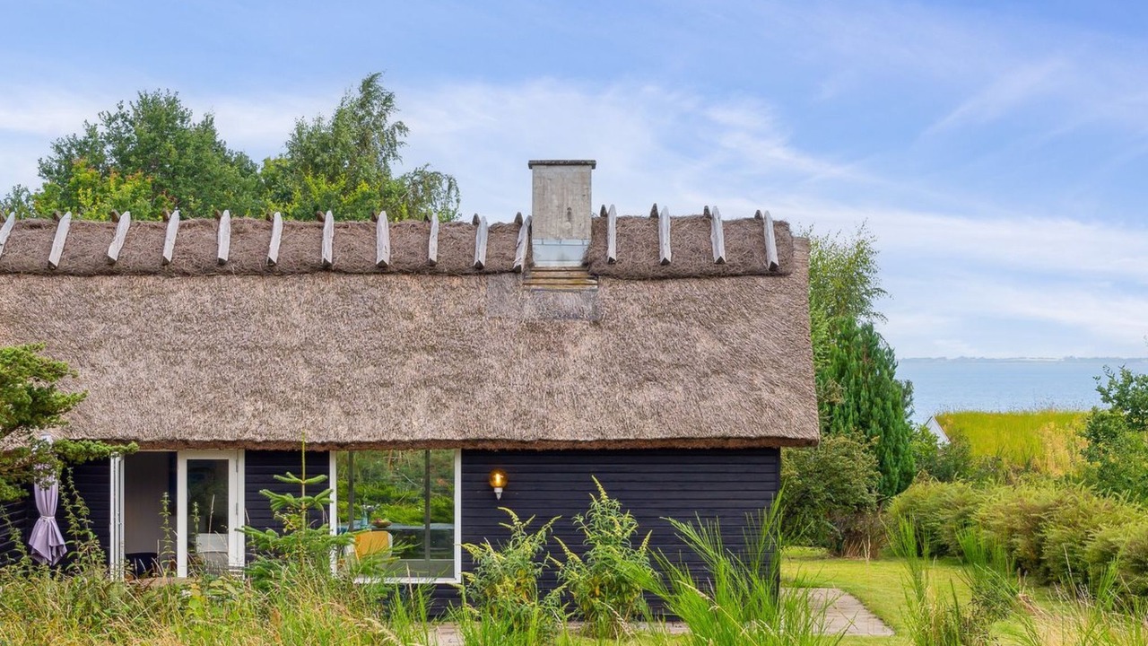 Photo of Others in Hoeve Strand