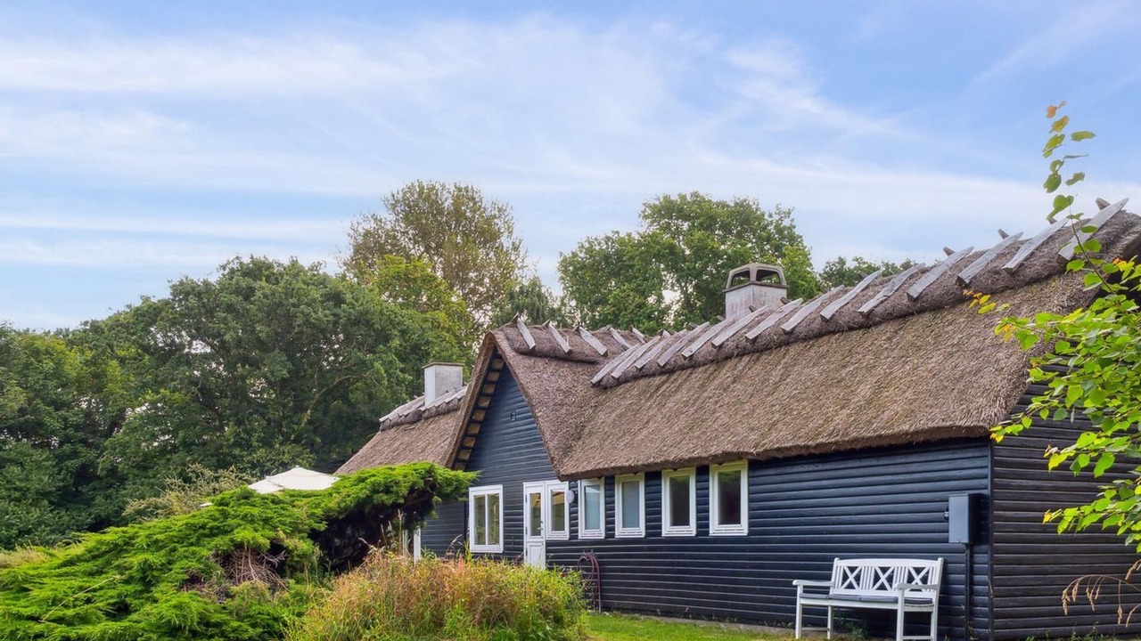 Photo of Others in Hoeve Strand