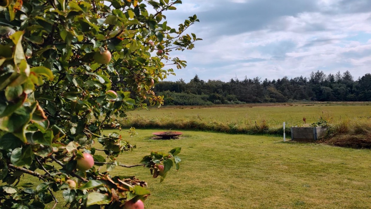 Photo of Others in Thisted