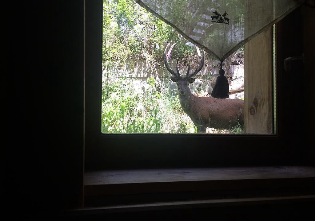 Photo of Others in Formigueres