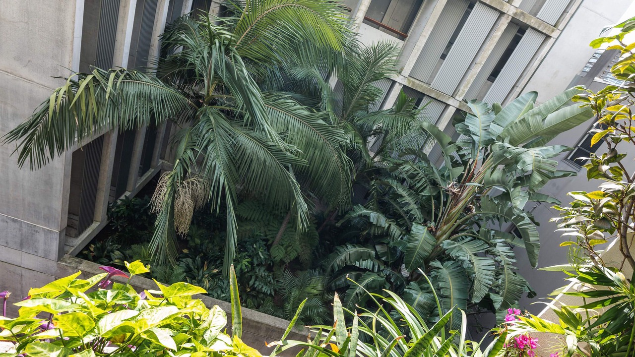 Photo of Outdoor in Surry Hills