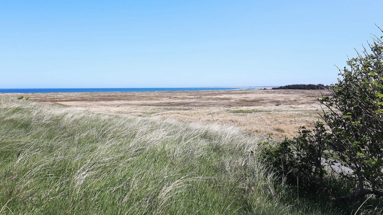 Photo of Others in Vigsø
