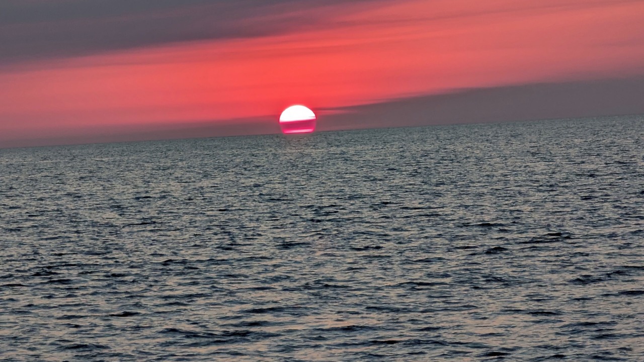 Photo of Others in Horseshoe Beach