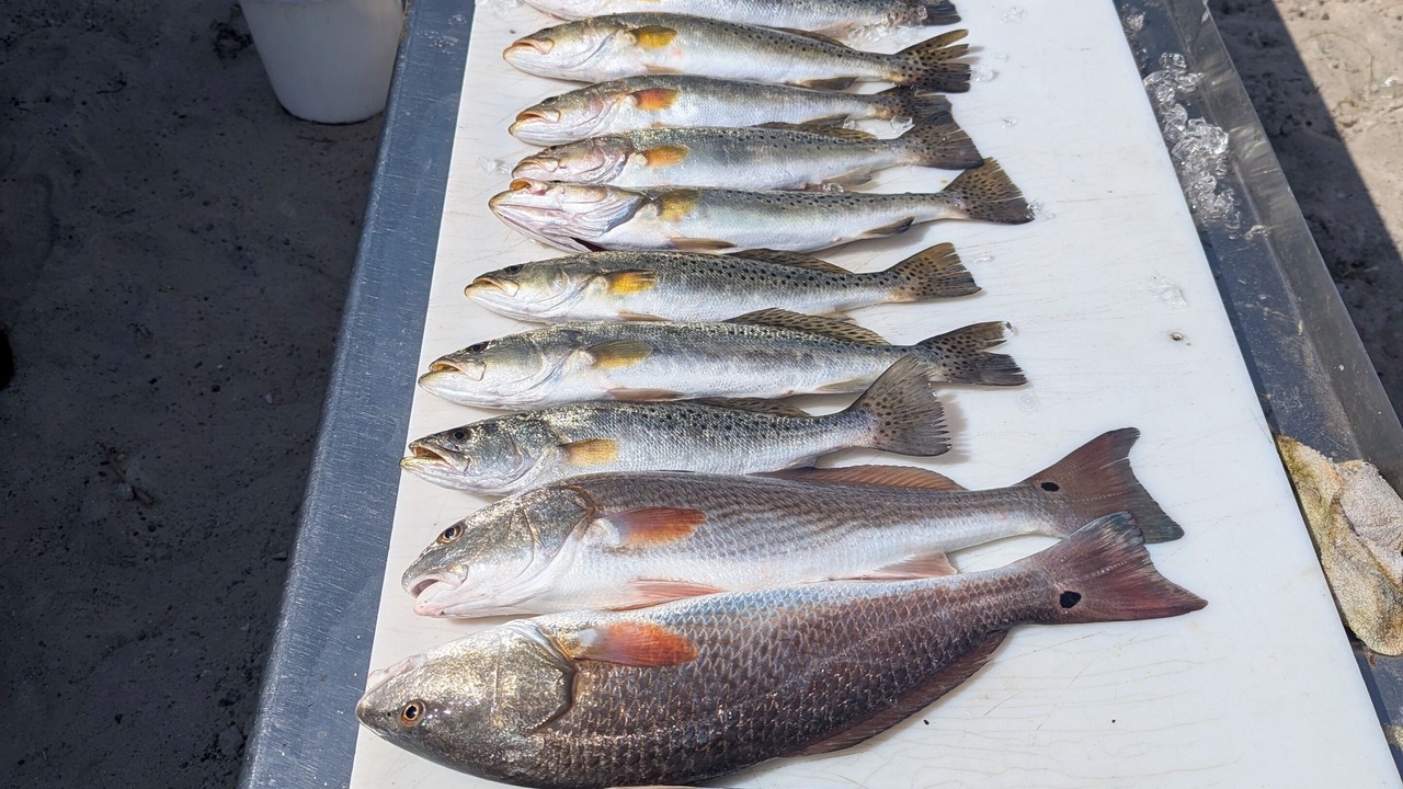 Photo of Others in Horseshoe Beach