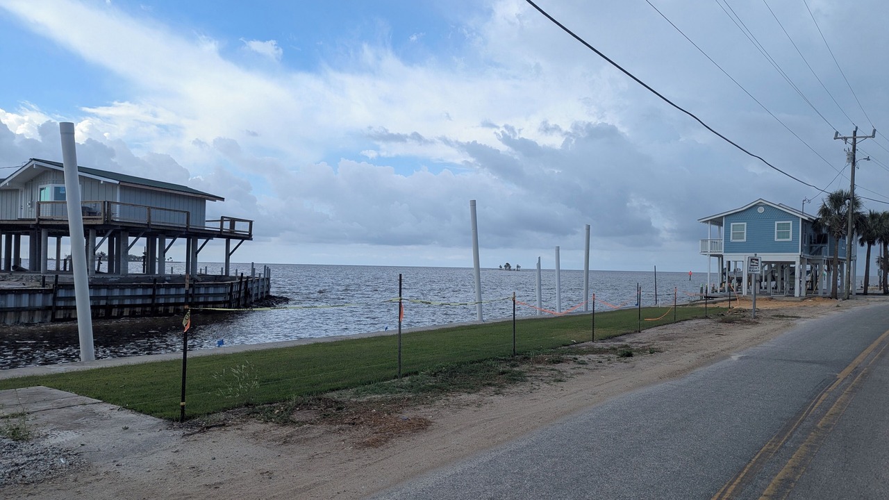 Photo of Others in Horseshoe Beach