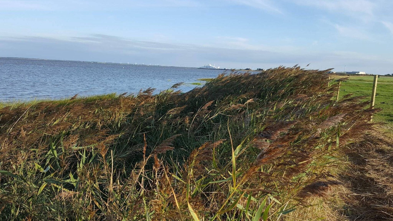 Photo of Others in Sønderstrand