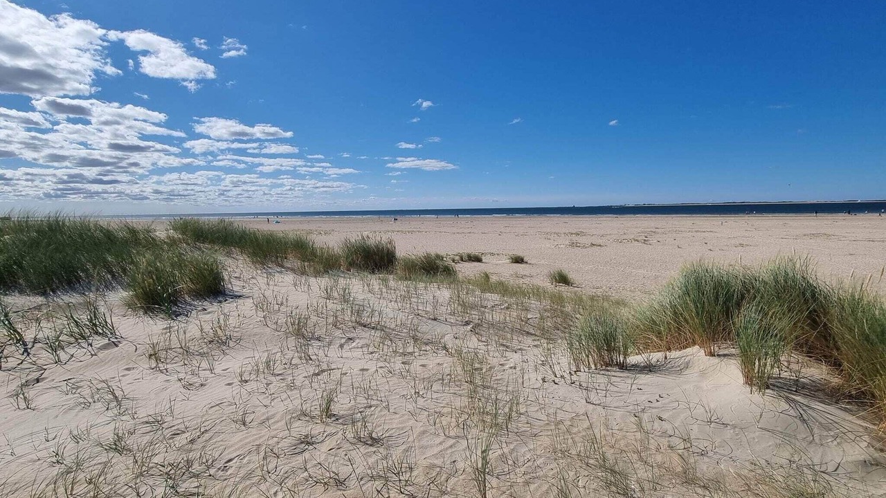 Photo of Others in Sønderstrand