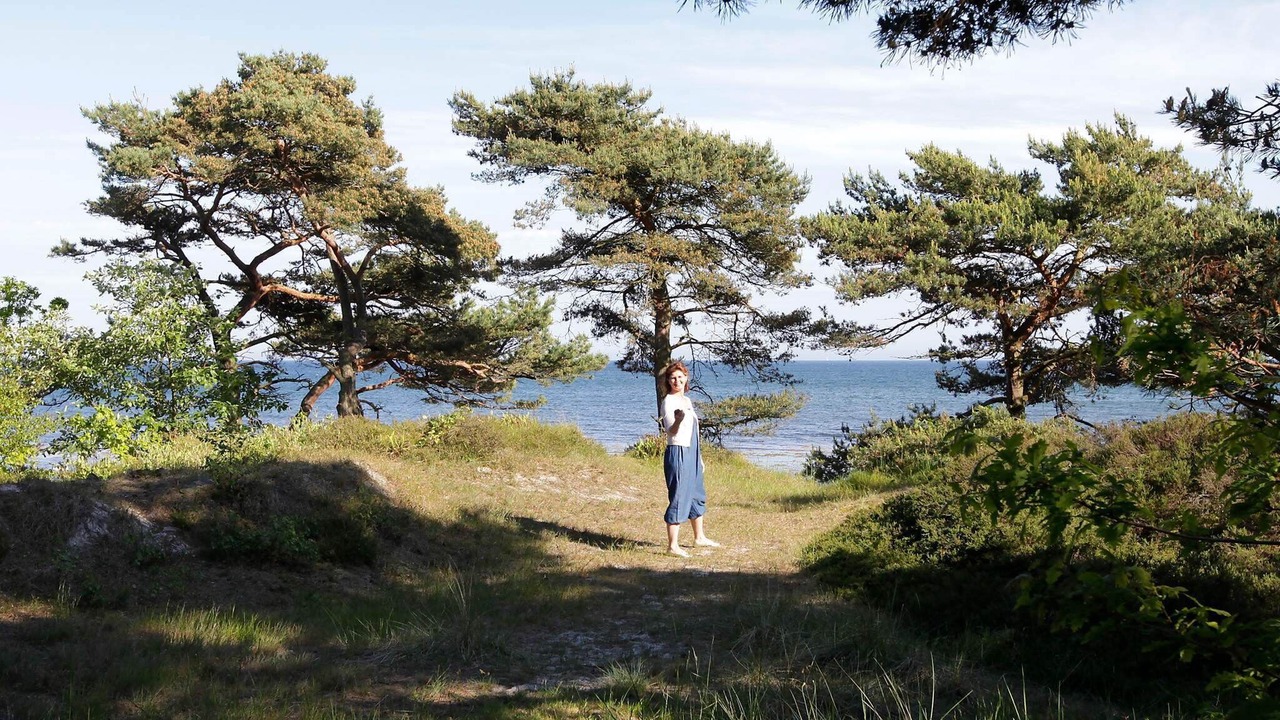Photo of Others in Bedegaard