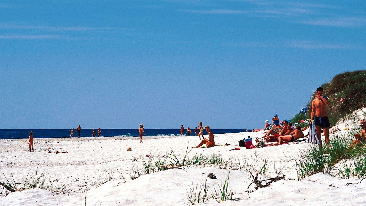 Photo of Others in Bedegaard