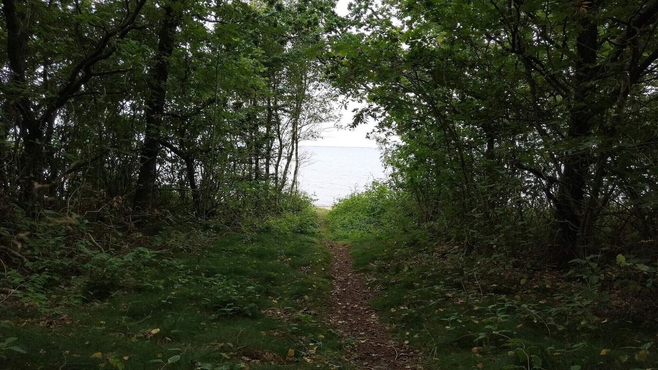 Photo of Others in Floutrup