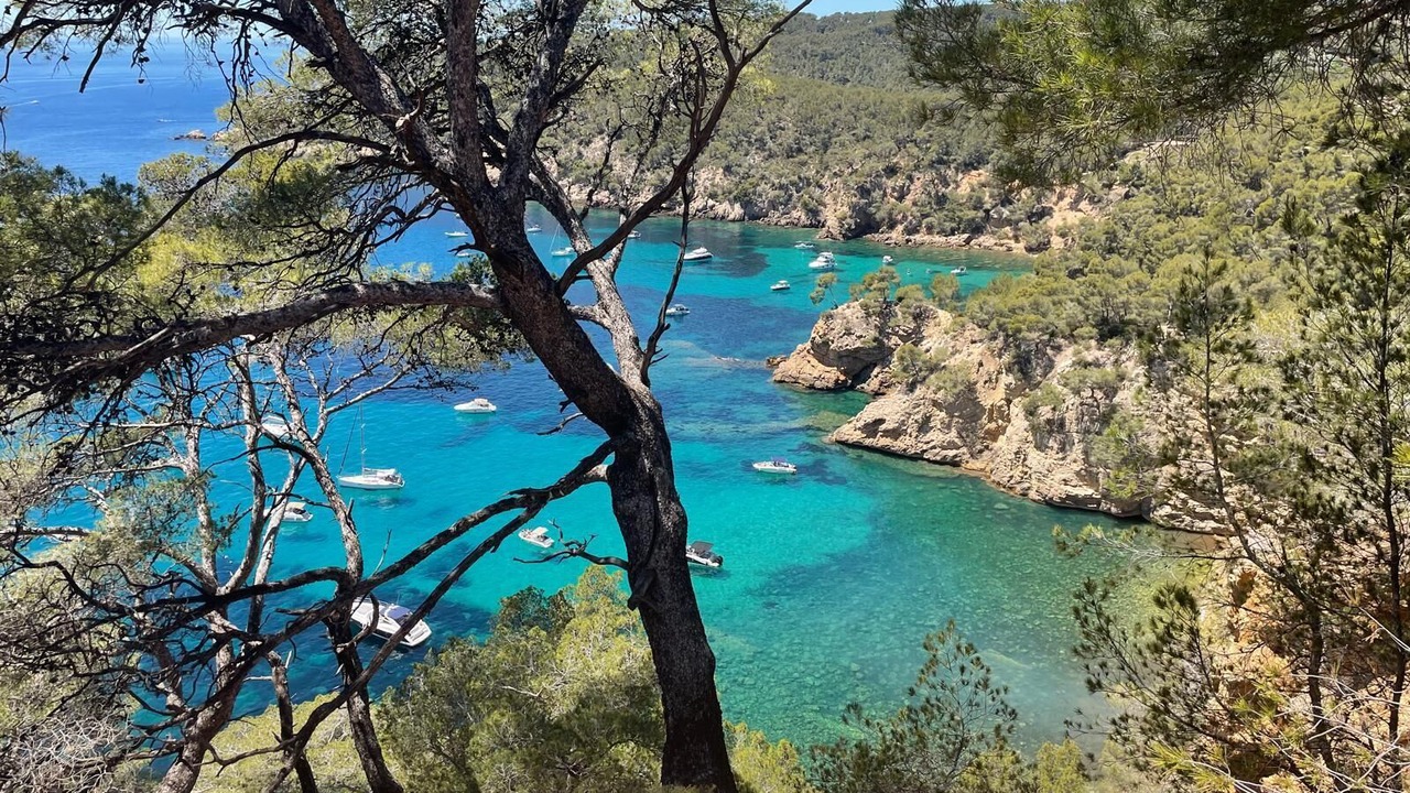 Photo of Others in La Seyne-sur-Mer