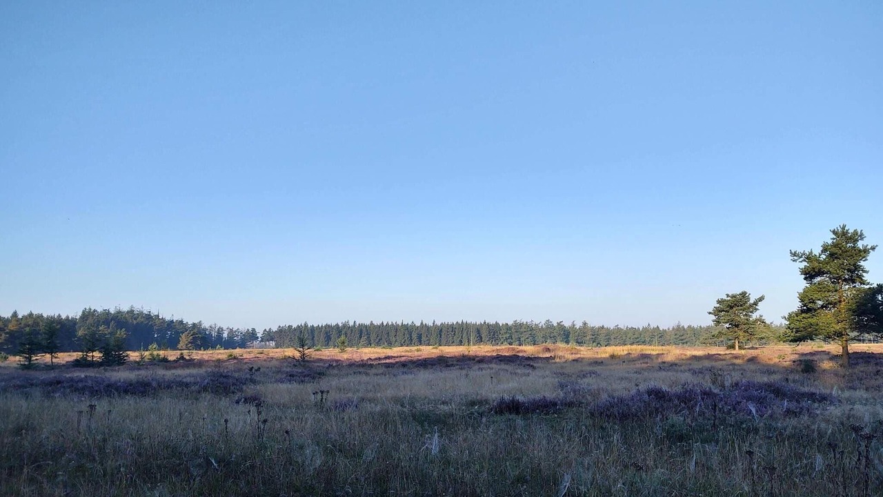 Photo of Others in Hovborg