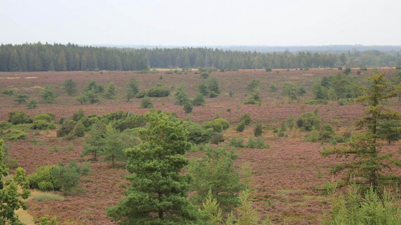 Photo of Others in Hovborg
