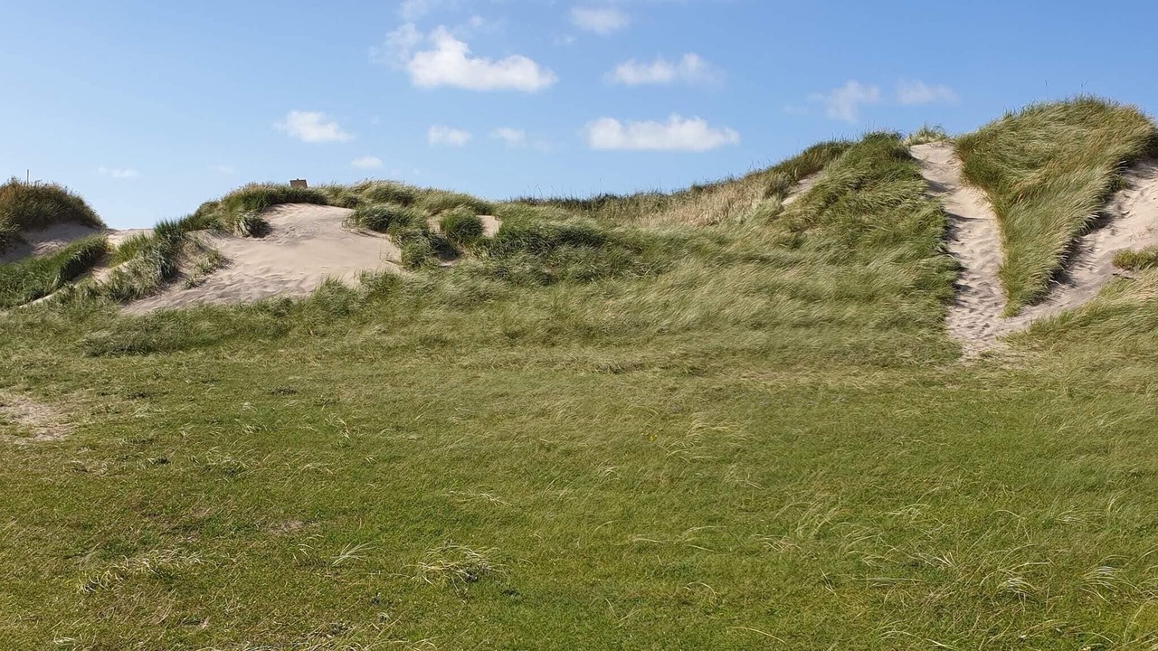 Photo of Others in Hjørring