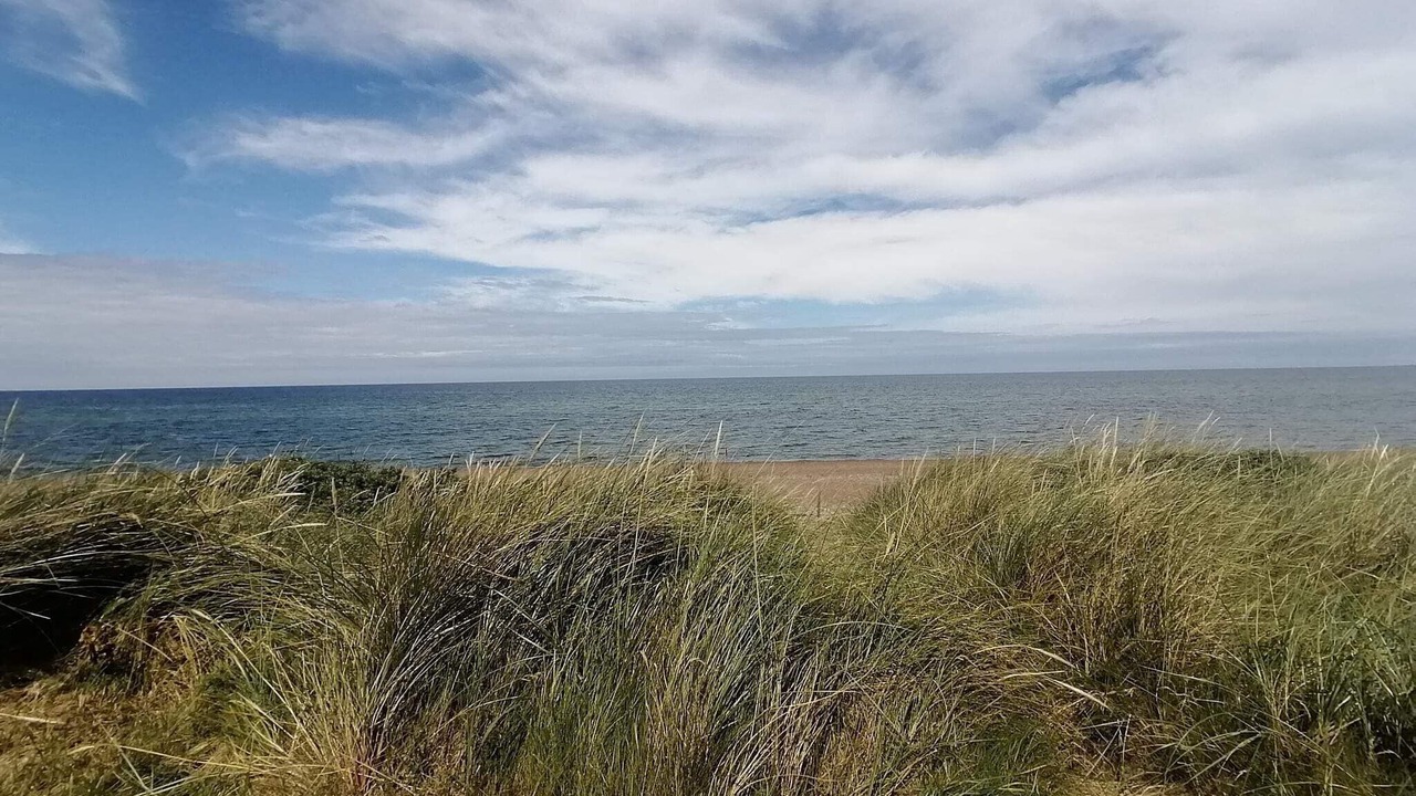 Photo of Others in Lild Strand