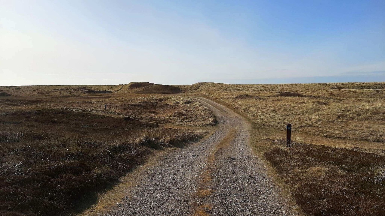 Photo of Others in Lild Strand
