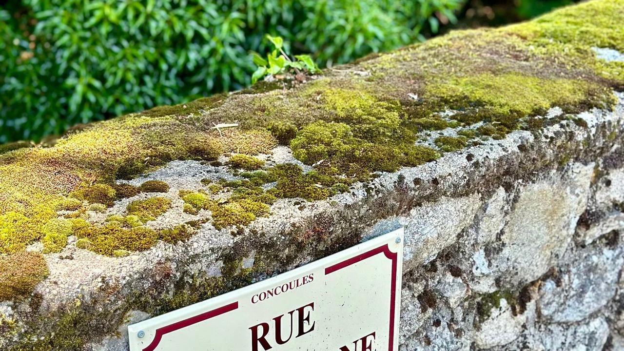 Photo of Outdoor in Concoules