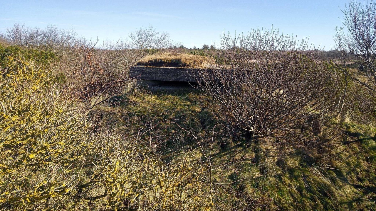 Photo of Others in Skjern