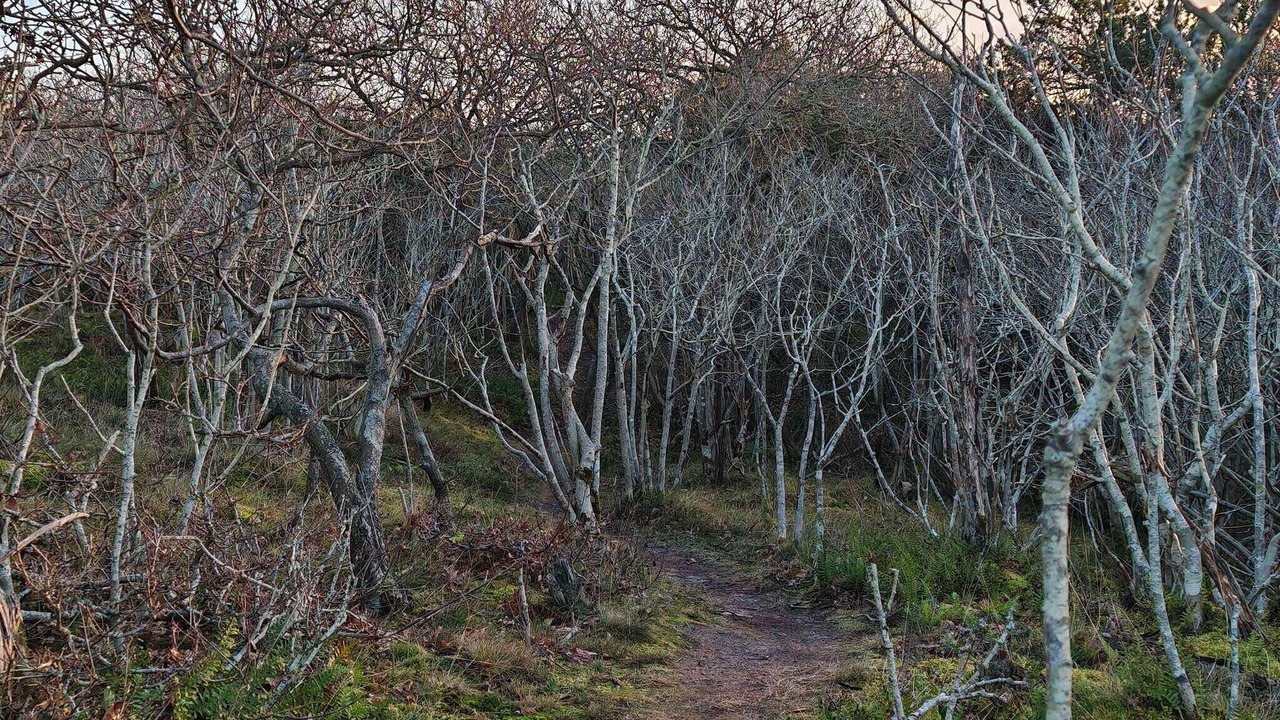 Photo of Others in Skjern