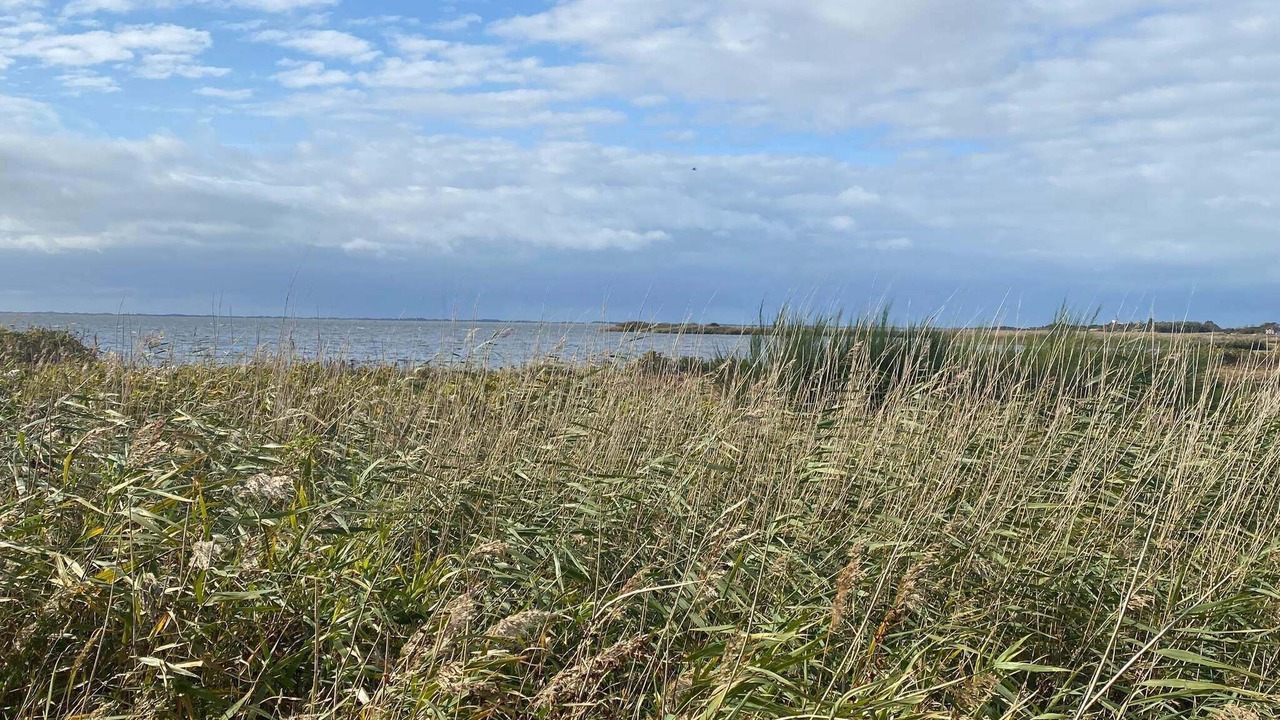 Photo of Others in Skjern