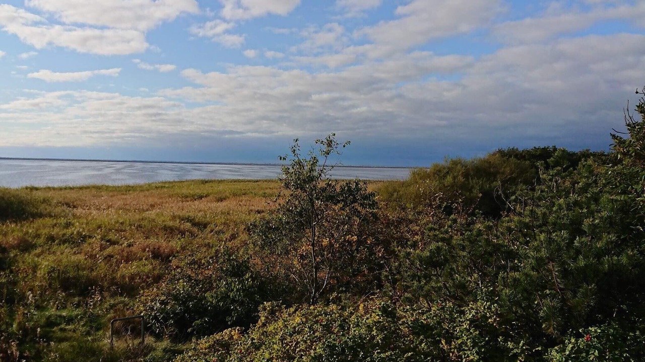 Photo of Others in Skjern
