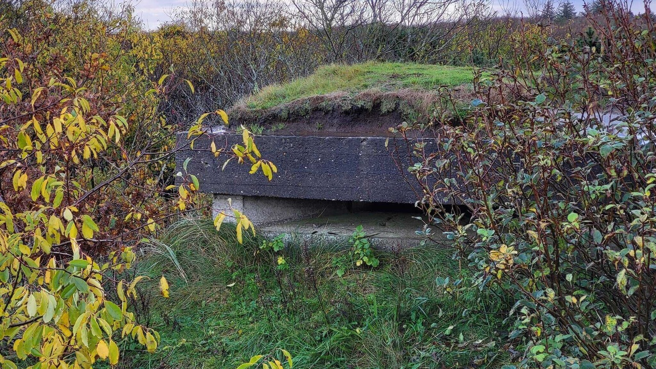 Photo of Others in Skjern