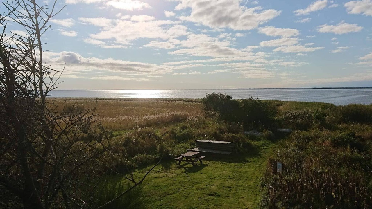 Photo of Outdoor in Skjern