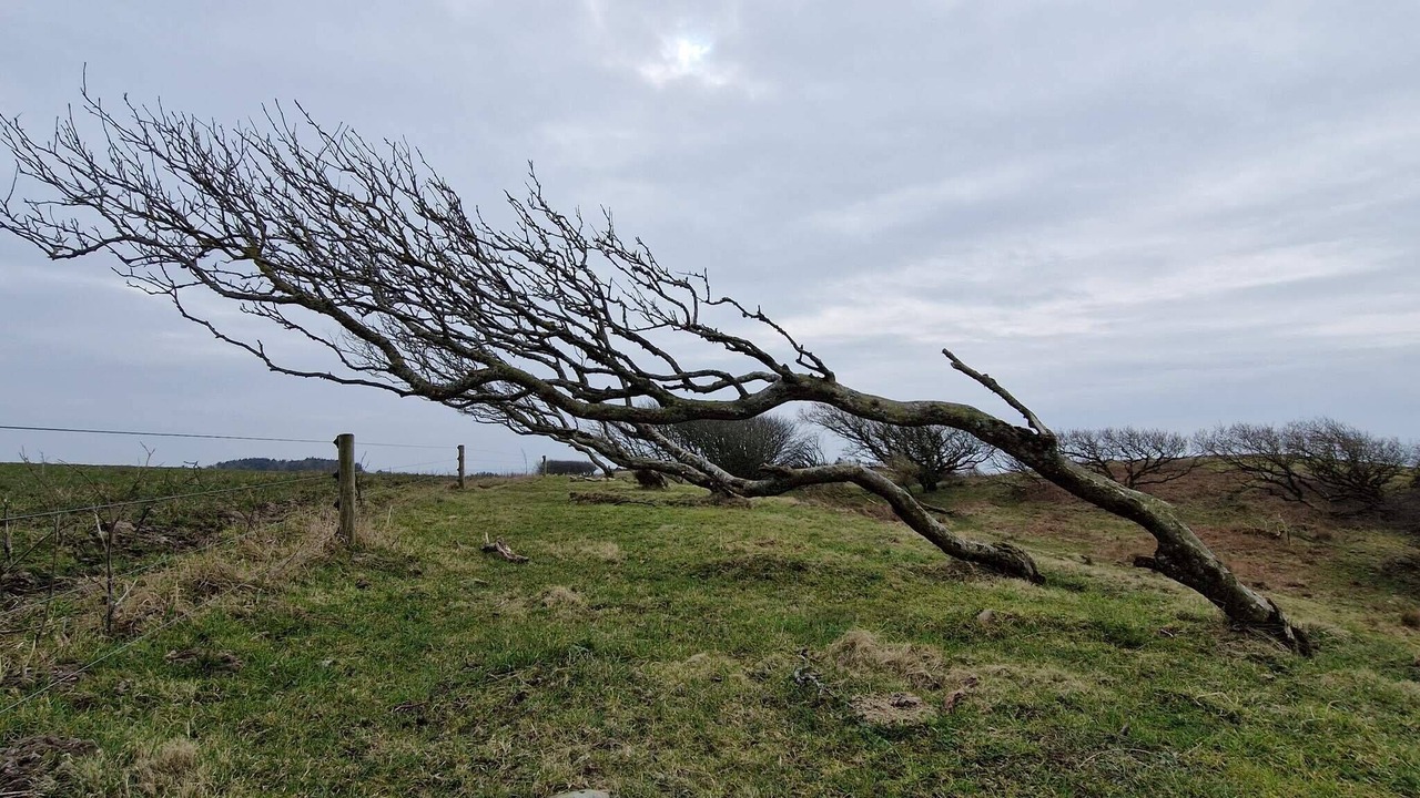 Photo of Others in Lihme