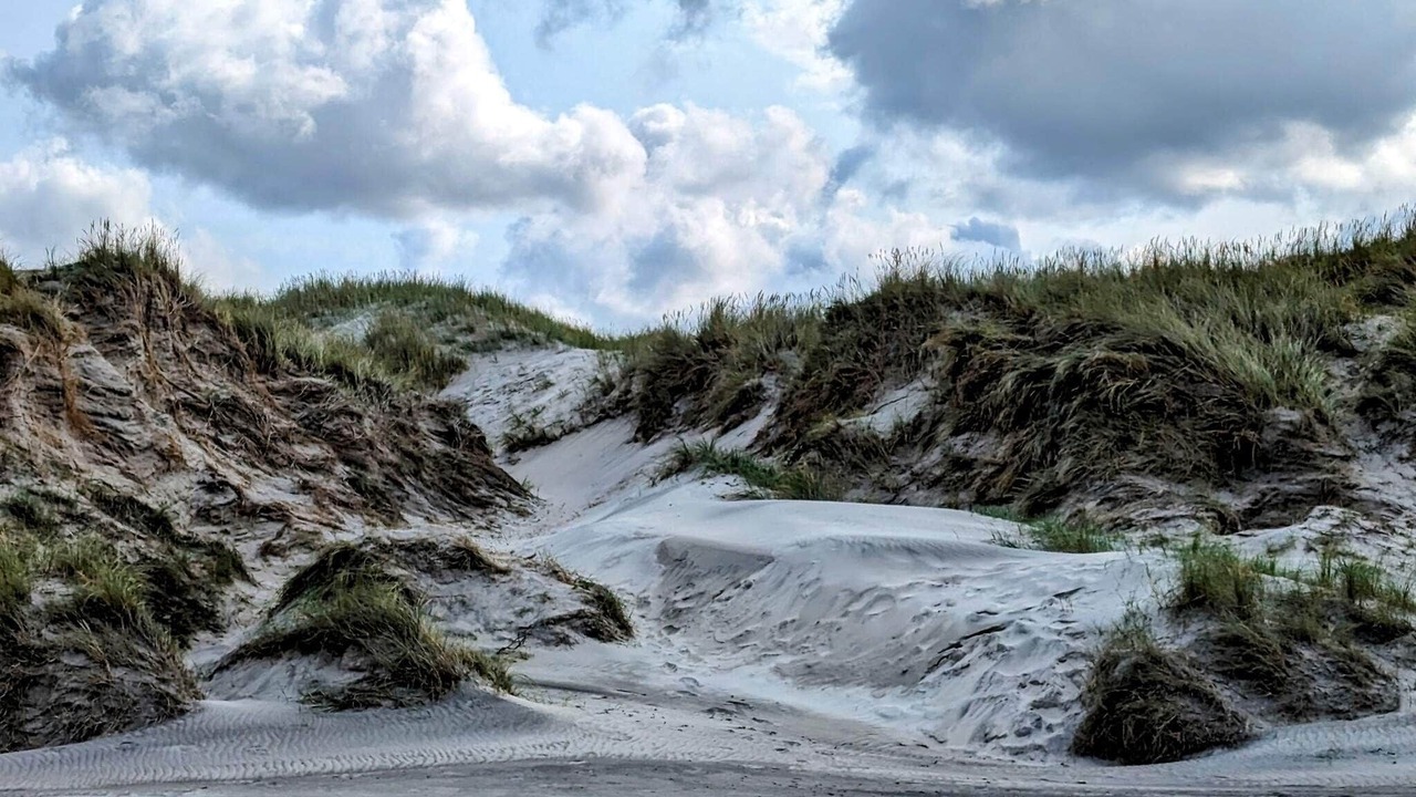 Photo of Others in Hirtshals