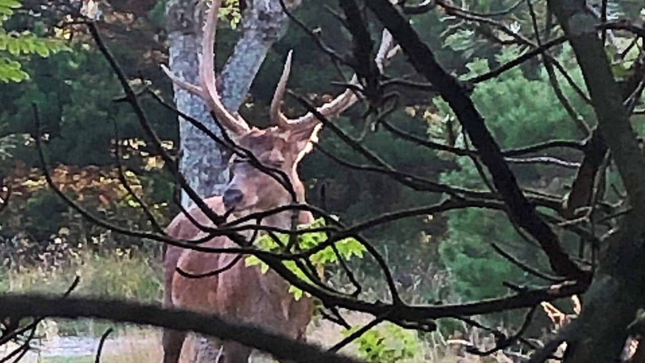 Photo of Outdoor in Vejers