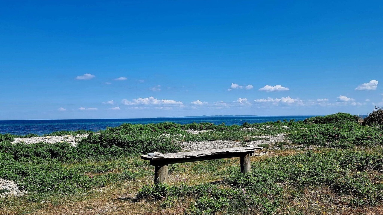 Photo of Others in Dronningmolle