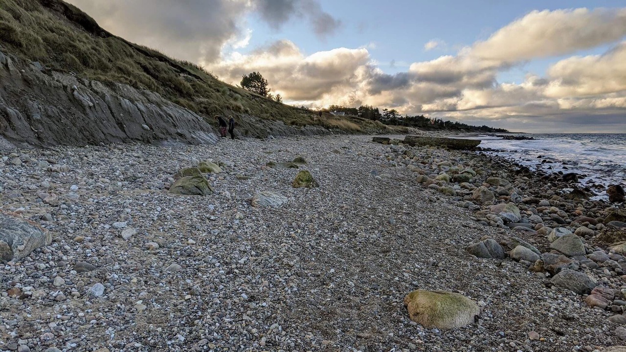 Photo of Others in Udsholt Sand