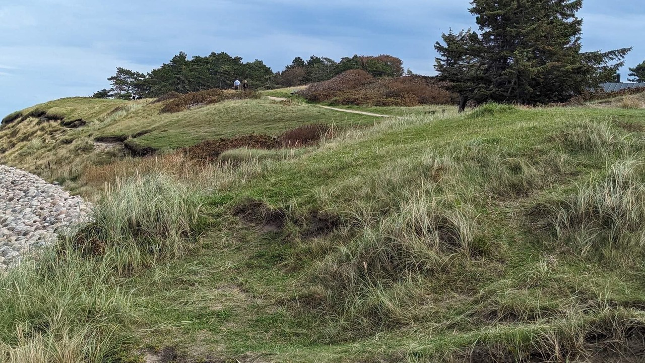 Photo of Others in Udsholt Sand