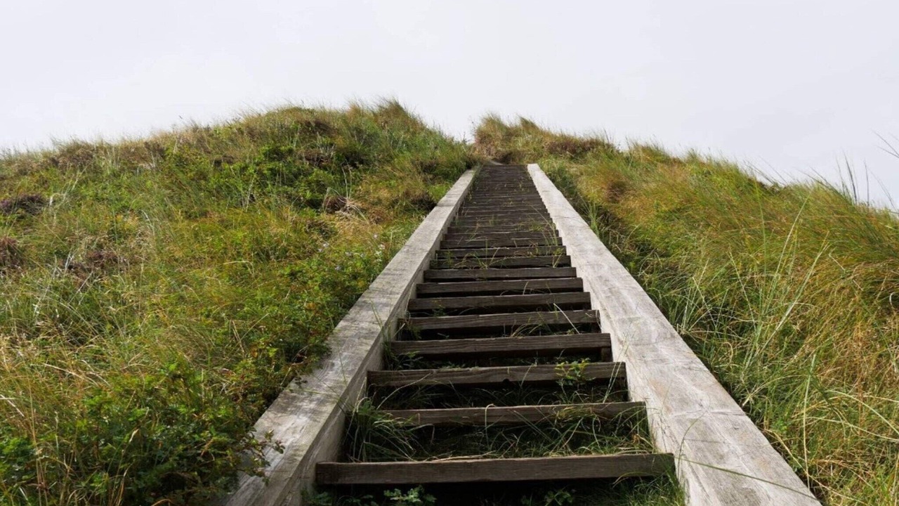 Photo of Outdoor in Kongsmark