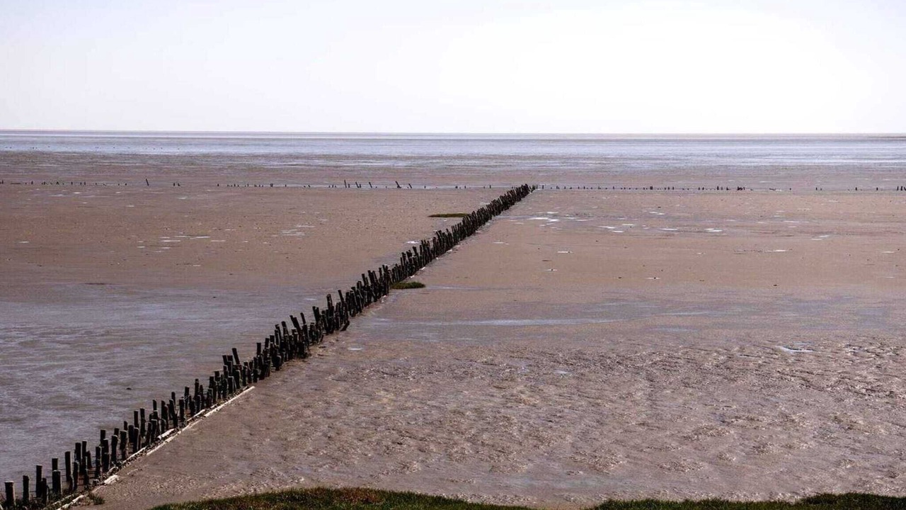 Photo of Others in Kongsmark