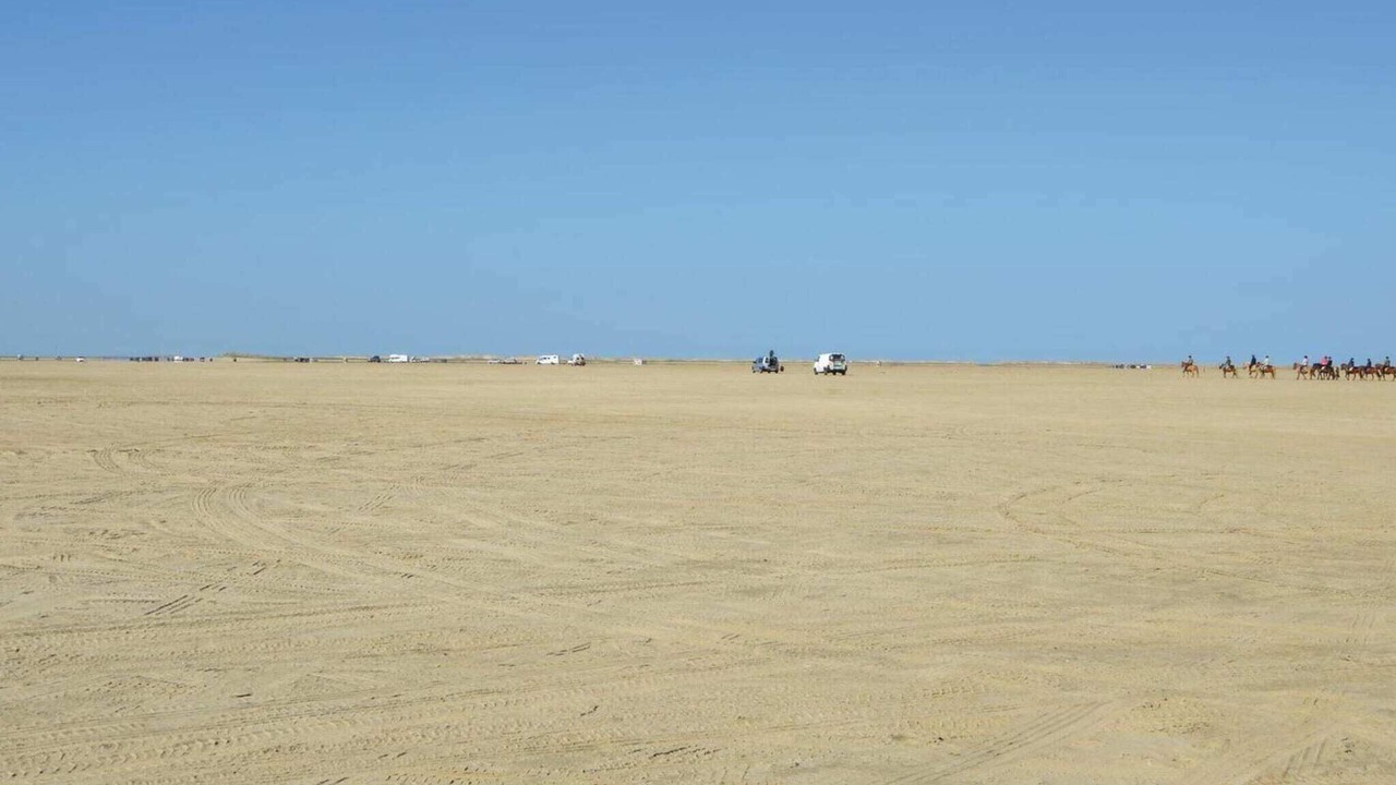 Photo of Others in Kongsmark