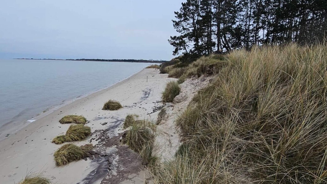 Photo of Others in Kongsmark